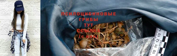 МДМА Бородино