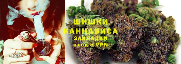 apvp Белокуриха