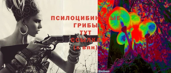 молекула духа Бугульма