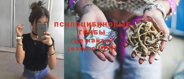 мдпв Верея